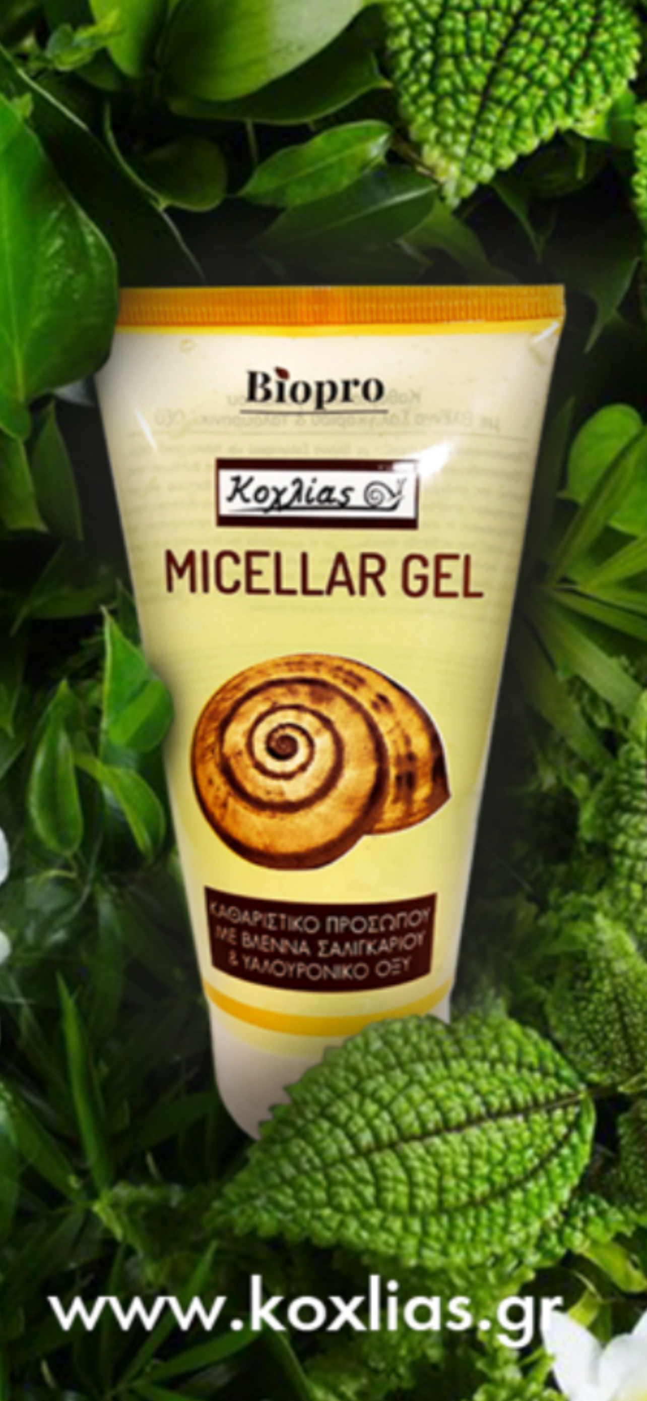 Micellar Gel Καθαρισμού Προσώπου με Βλέννα Σαλιγκαριού | Κοχλίας™